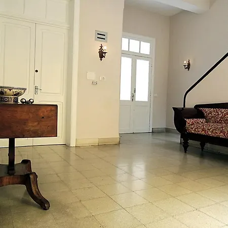 Silene Orotava La Orotava