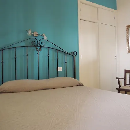 Silene Orotava La Orotava