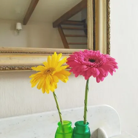 ゲストハウス Silene Orotava