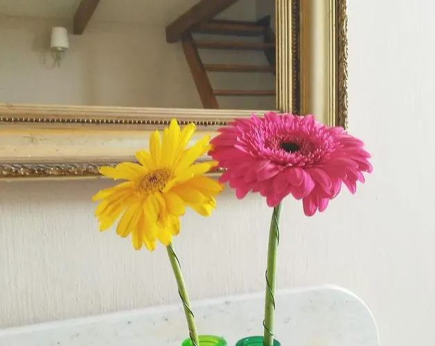 Penzion Silene Orotava